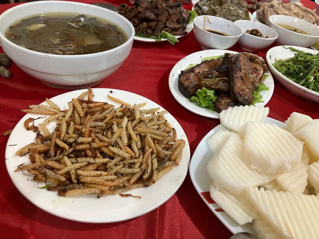 ベトナム北部の昆虫料理