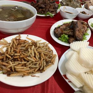 食用に採取した昆虫