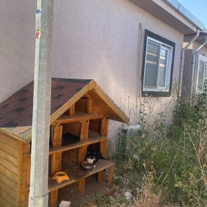 事務所の猫小屋【トルコ出張記】